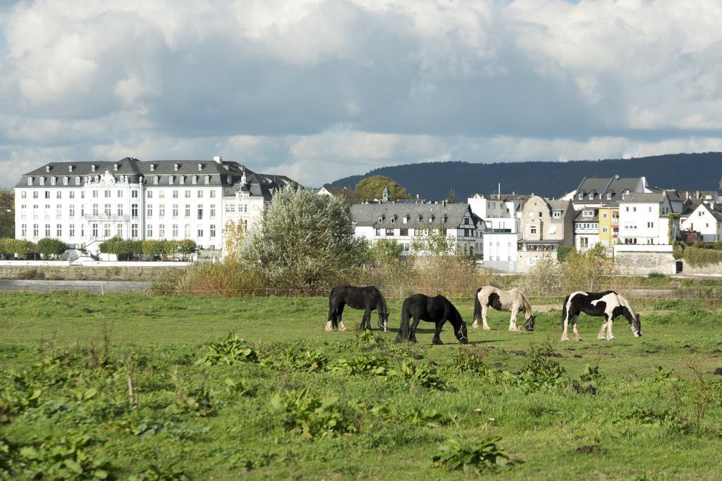 Rheinhotel Larus 4*