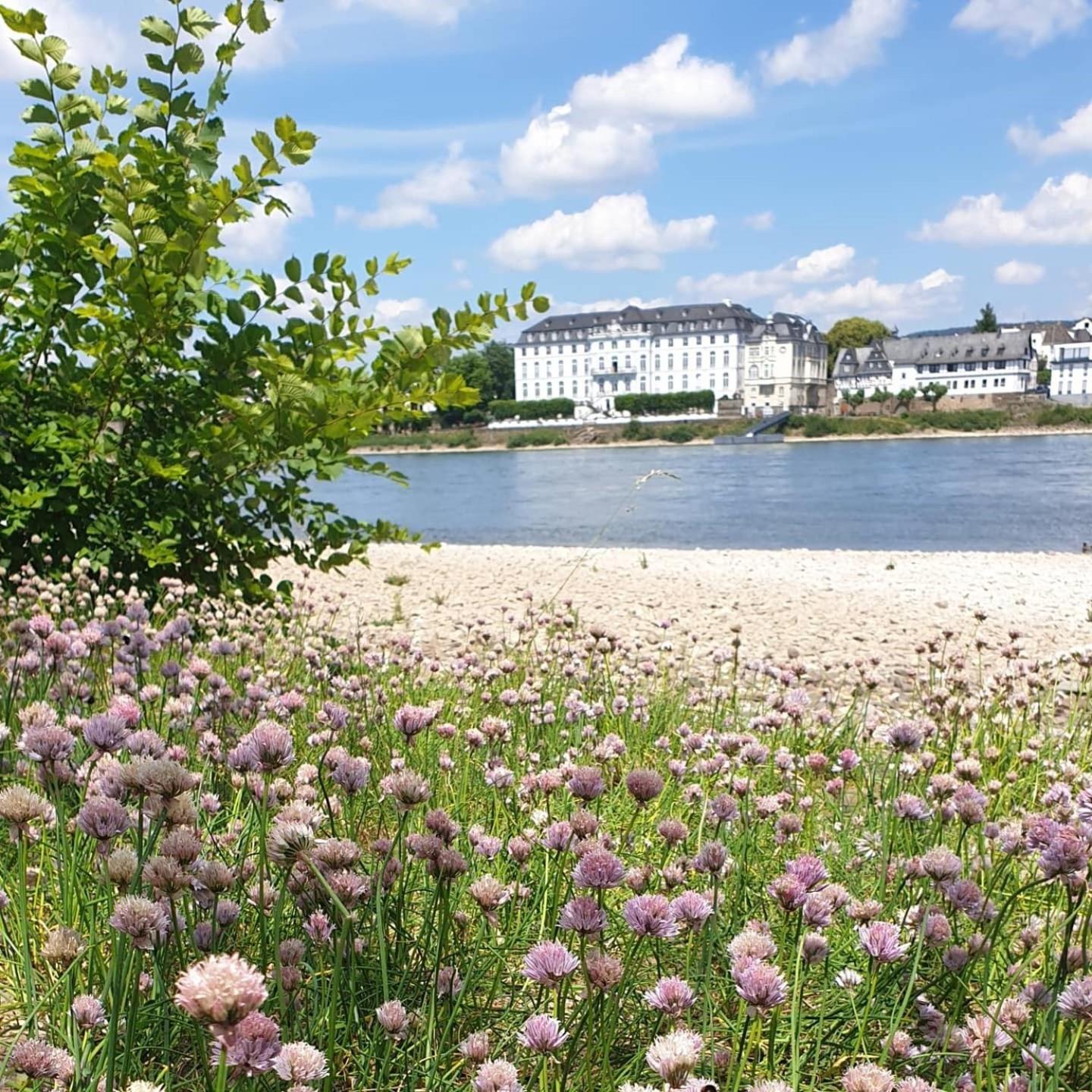 Rheinhotel Larus Hotel